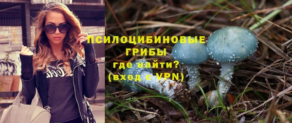 героин Алексин