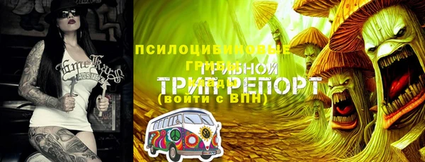 стаф Алексеевка