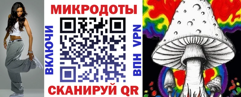Псилоцибиновые грибы Cubensis  где найти   Гуково 