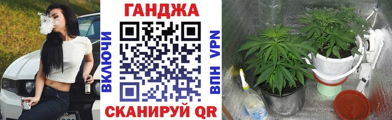 Канабис OG Kush даркнет сайт Гуково